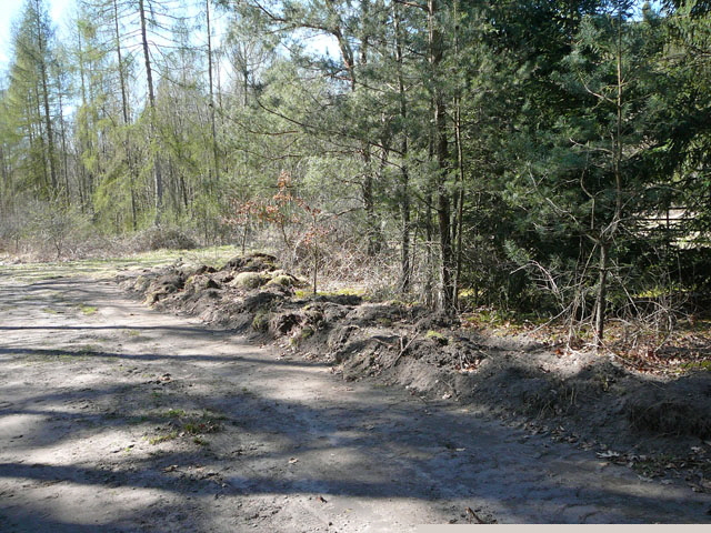 2012-04-01 Waldstraen FFH RW ost u. Bienen 043