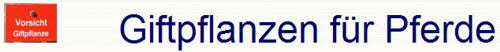 Giftpflanzen fr Pferde