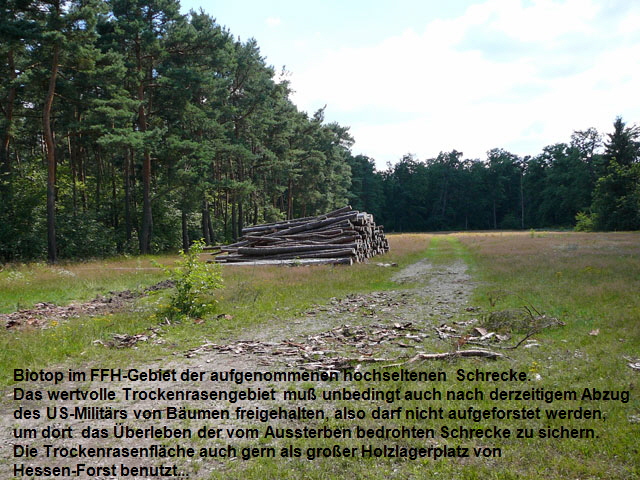 Juli 2012 FFH-Wald LA u. Viernheimer Heide 048