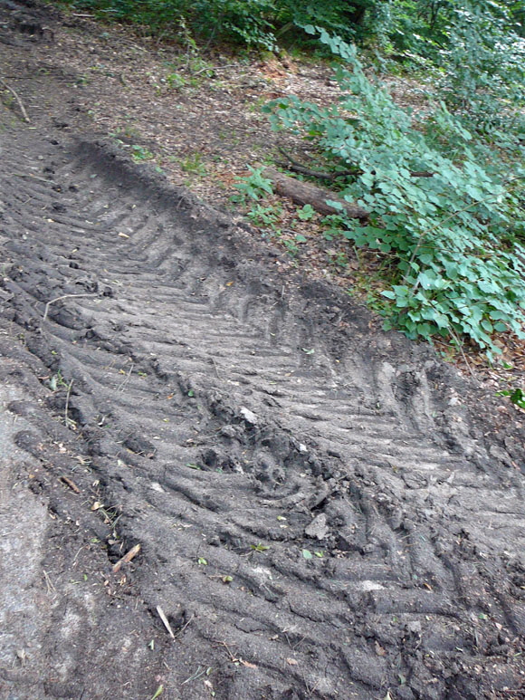 Juli 2012 Kiefernabholzung in FFH West u. Kfer 026