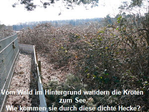 März 2012 036 März 2012 036