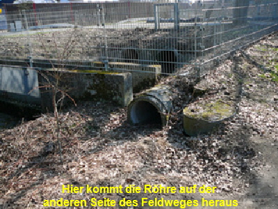 März 2012 045 März 2012 045