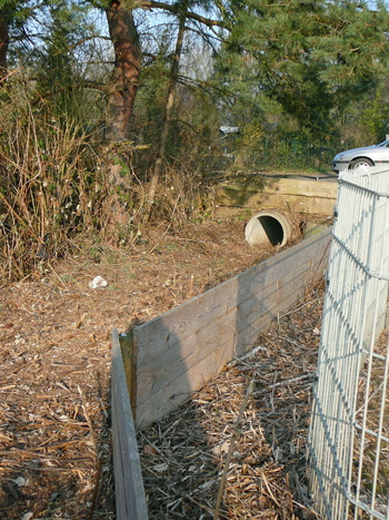 März 2012 Kröten + FFH-Wald LA Bienen 004 März 2012 Kröten + FFH-Wald LA Bienen 004