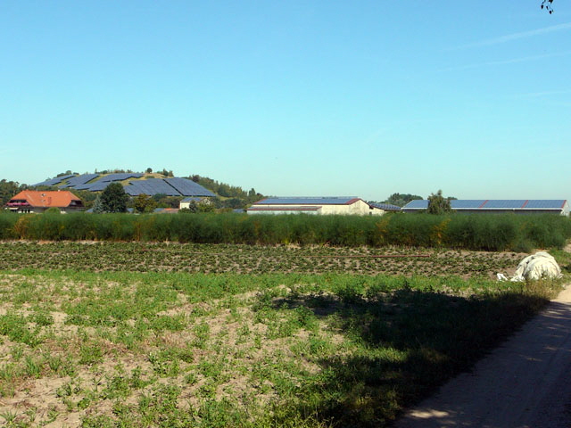 Sep 2012 ZAKB Tag der offenen Tür, Greifvögel Lorsch 032 Sep 2012 ZAKB Tag der offenen Tür, Greifvögel Lorsch 032