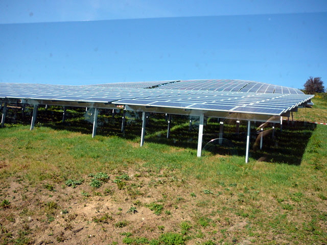 Sep 2012 ZAKB Tag der offenen Tür, Greifvögel Lorsch 039 Sep 2012 ZAKB Tag der offenen Tür, Greifvögel Lorsch 039