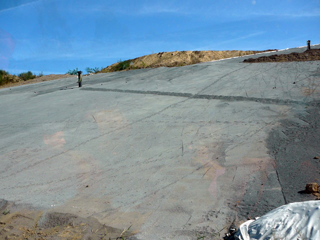 Sep 2012 ZAKB Tag der offenen Tür, Greifvögel Lorsch 045 Sep 2012 ZAKB Tag der offenen Tür, Greifvögel Lorsch 045