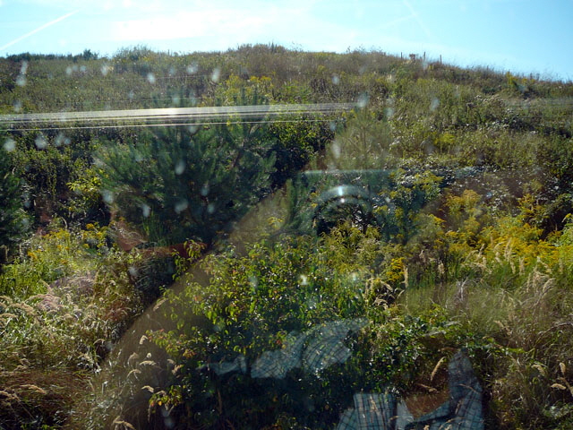 Sep 2012 ZAKB Tag der offenen Tür, Greifvögel Lorsch 051 Sep 2012 ZAKB Tag der offenen Tür, Greifvögel Lorsch 051