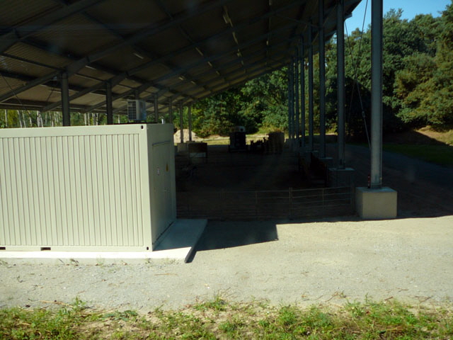 Sep 2012 ZAKB Tag der offenen Tür, Greifvögel Lorsch 053 Sep 2012 ZAKB Tag der offenen Tür, Greifvögel Lorsch 053