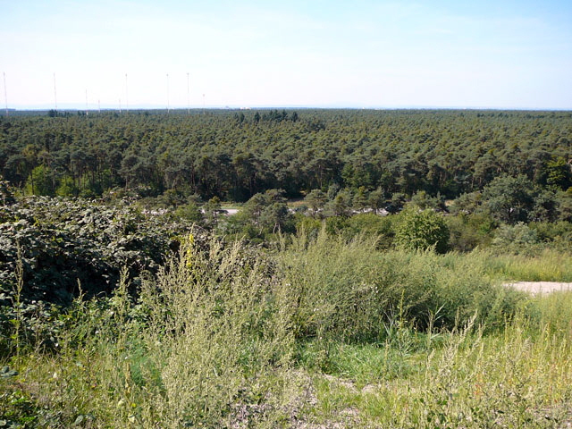 Sep 2012 ZAKB Tag der offenen Tür, Greifvögel Lorsch 149 Sep 2012 ZAKB Tag der offenen Tür, Greifvögel Lorsch 149
