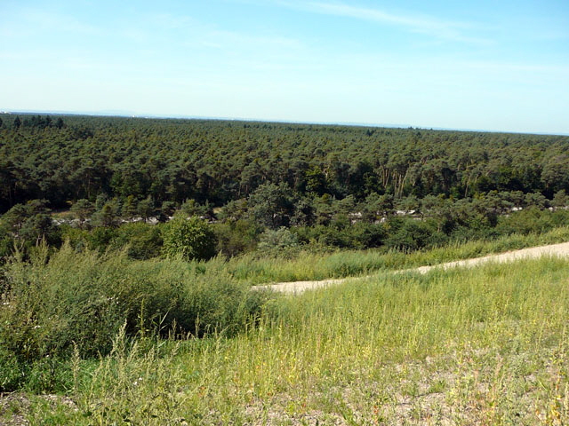 Sep 2012 ZAKB Tag der offenen Tür, Greifvögel Lorsch 150 Sep 2012 ZAKB Tag der offenen Tür, Greifvögel Lorsch 150