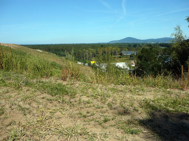 Sep 2012 ZAKB Tag der offenen Tür, Greifvögel Lorsch 152 Sep 2012 ZAKB Tag der offenen Tür, Greifvögel Lorsch 152