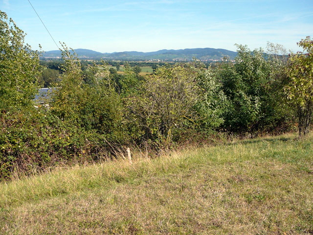 Sep 2012 ZAKB Tag der offenen Tür, Greifvögel Lorsch 157 Sep 2012 ZAKB Tag der offenen Tür, Greifvögel Lorsch 157