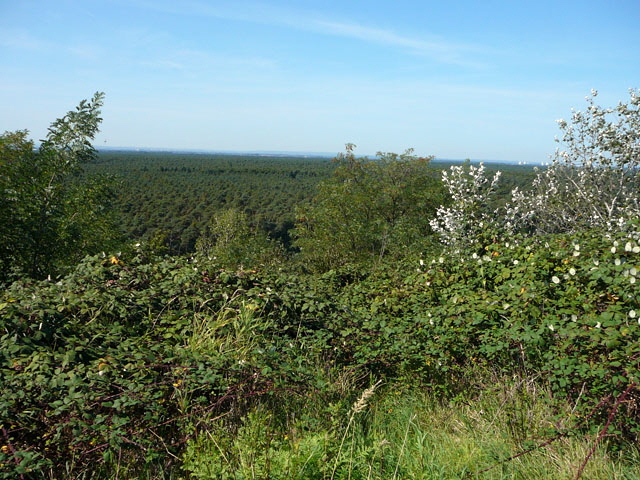 Sep 2012 ZAKB Tag der offenen Tür, Greifvögel Lorsch 160 Sep 2012 ZAKB Tag der offenen Tür, Greifvögel Lorsch 160