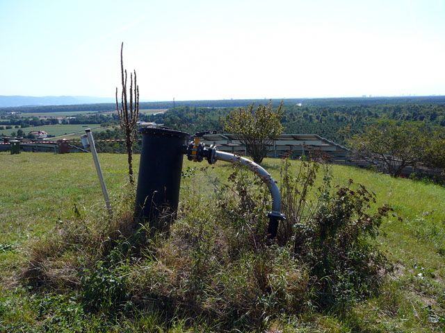 Sep 2012 ZAKB Tag der offenen Tür, Greifvögel Lorsch 161 Sep 2012 ZAKB Tag der offenen Tür, Greifvögel Lorsch 161