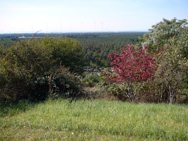 Sep 2012 ZAKB Tag der offenen Tür, Greifvögel Lorsch 162 Sep 2012 ZAKB Tag der offenen Tür, Greifvögel Lorsch 162