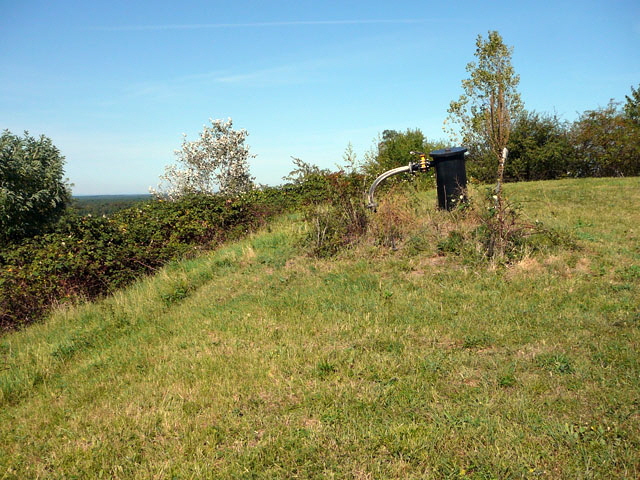 Sep 2012 ZAKB Tag der offenen Tür, Greifvögel Lorsch 163 Sep 2012 ZAKB Tag der offenen Tür, Greifvögel Lorsch 163