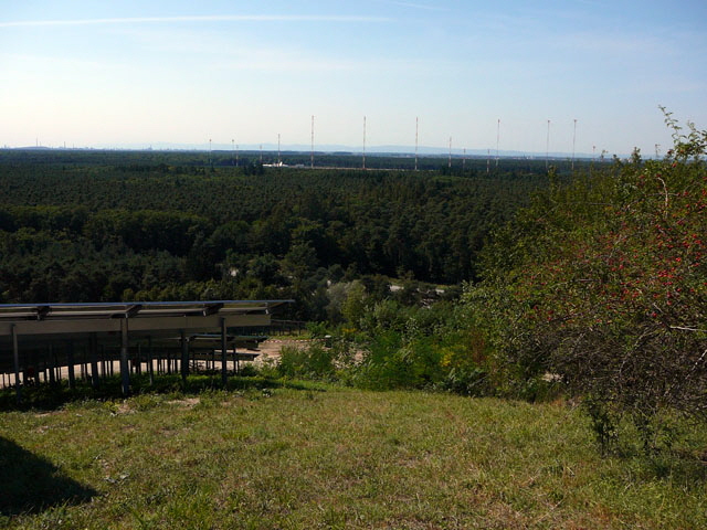 Sep 2012 ZAKB Tag der offenen Tür, Greifvögel Lorsch 164 Sep 2012 ZAKB Tag der offenen Tür, Greifvögel Lorsch 164