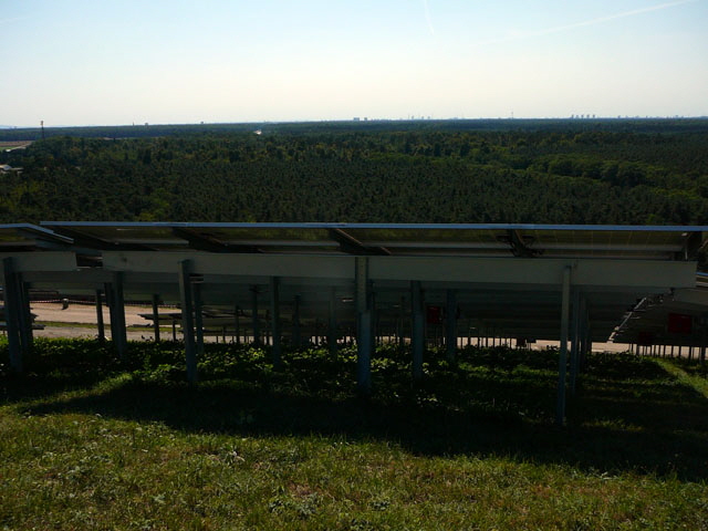 Sep 2012 ZAKB Tag der offenen Tür, Greifvögel Lorsch 165 Sep 2012 ZAKB Tag der offenen Tür, Greifvögel Lorsch 165