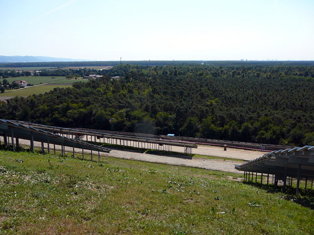 Sep 2012 ZAKB Tag der offenen Tür, Greifvögel Lorsch 166 Sep 2012 ZAKB Tag der offenen Tür, Greifvögel Lorsch 166