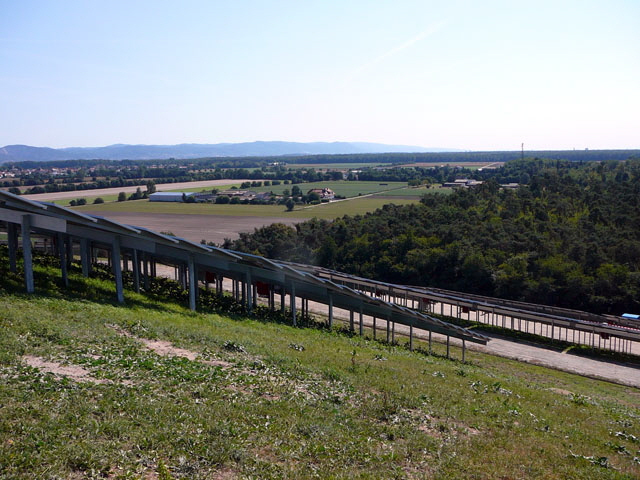 Sep 2012 ZAKB Tag der offenen Tür, Greifvögel Lorsch 167 Sep 2012 ZAKB Tag der offenen Tür, Greifvögel Lorsch 167
