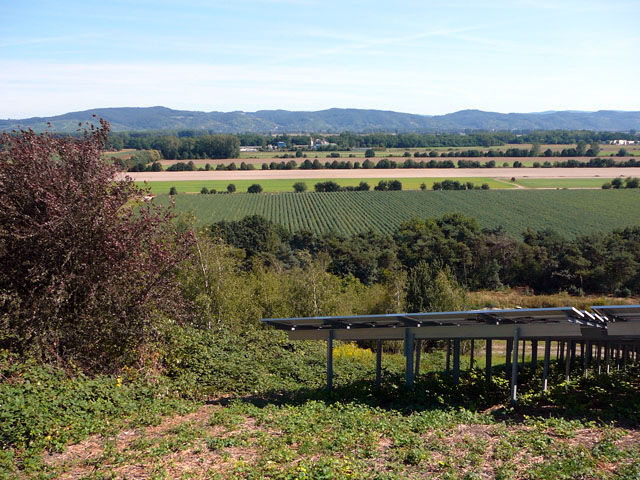Sep 2012 ZAKB Tag der offenen Tür, Greifvögel Lorsch 172 Sep 2012 ZAKB Tag der offenen Tür, Greifvögel Lorsch 172