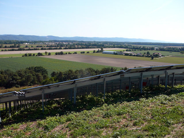 Sep 2012 ZAKB Tag der offenen Tür, Greifvögel Lorsch 173 Sep 2012 ZAKB Tag der offenen Tür, Greifvögel Lorsch 173