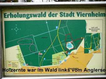 Februar 2010 Harvester Rodung Viernheimer Wald 001 Februar 2010 Harvester Rodung Viernheimer Wald 001