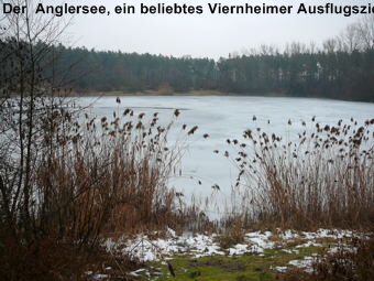Februar 2010 Harvester Rodung Viernheimer Wald 013 Februar 2010 Harvester Rodung Viernheimer Wald 013