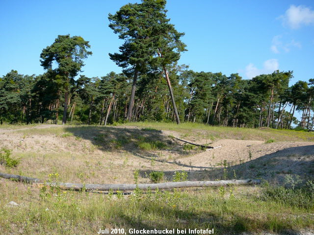 a_Juli_2010_Radtour_zu_Viernheimer_Glockenbuckel_060