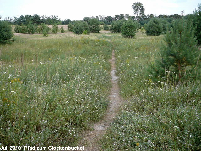 a_Juli_2010_Radtour_zu_Viernheimer_Glockenbuckel_080