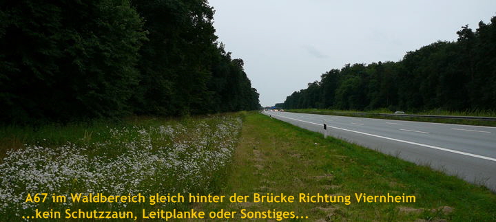 Juni 2008 A67 Huett Wald Juni 2008 A67 Huett Wald