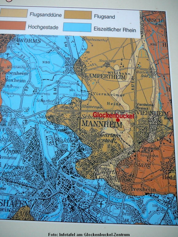 a_Juni_2010_Viernheimer_Heide_NSG_Glockenbuckel_096