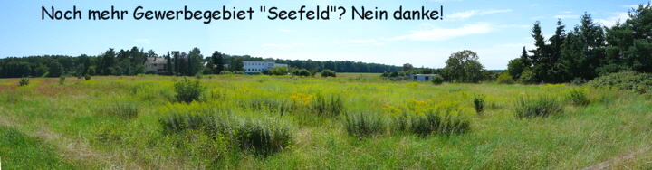 Stitched_001_Panorama Seefeld_text